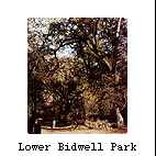 Bidwell Park
