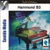 Hammond B3 Download from Sonido Media
