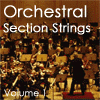 Orchestral Strings Electronic Download