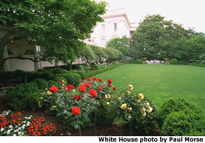 Pictured is the Rose Garden viewed from the West Wing. To the left is the West Colonnade. White House photo by Tara Engberg