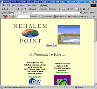 Nehalempoint.com in 2001