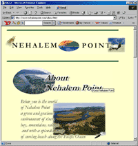 nehalempoint.com in 2001