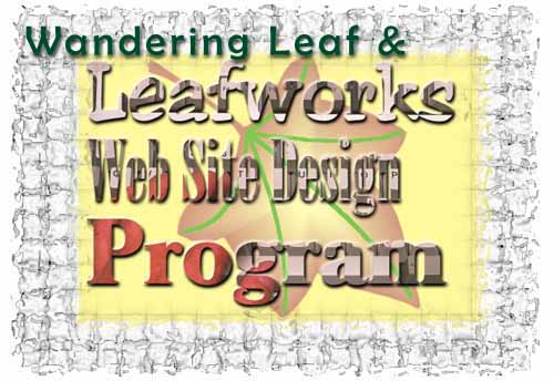 web site design program