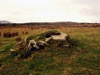 Magheranaul - Wedge Tomb - County Donegal: Rear
