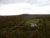 Glenwanish - Wedge Tomb - County Clare: Remains