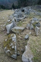 5 new images added to Rockmarshall (Court Tomb in County Louth)