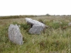 Parknabinnia - Wedge Tomb - County Clare: Bits