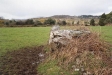 Inchincurka - Wedge Tomb - County Cork: Rear