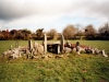 Island - Wedge Tomb - County Cork: With Stick