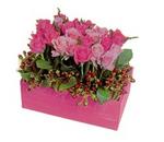 Hot Pink Rose Box