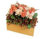Cool Orange Rose Box