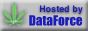 Hosting by DataForce