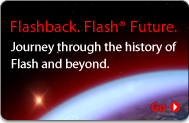 Flashback. Flash Future. Journey through the history of Flash and beyond.