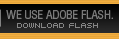 We Use Adobe Flash: Download Flash