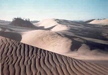 panorama of dunes