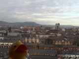 duck in Belfast