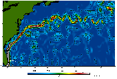 Gulf Stream Watch
