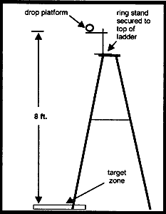 image of ladder with drop platform