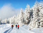 Top cross-country skiing destinations in U.S. & Canada