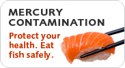 Mercury Contamination