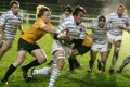 Rugby Blues vs Esher