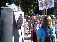 Pink at a march against Prop 8