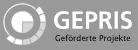 GEPRIS - Gefoerderte Projekte