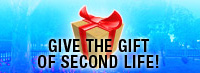 Give the Gift of Second Life