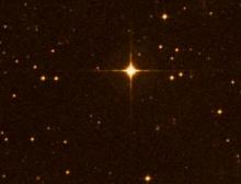 Kapteyn's Star is part of a 'Moving group' in the constellation of Pictor (Image: ESO Online Digitized Sky Survey)