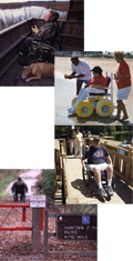 Accessibility collage