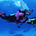 Scuba Diving Centers, Resorts, and Vacation Packages